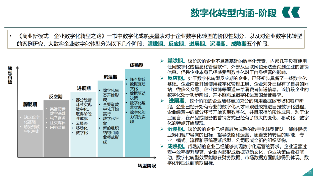 辛保安：國家電網數字化轉型的認識與實踐